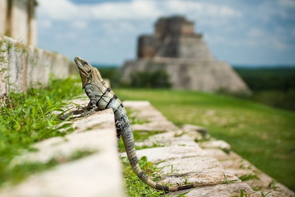 En leur mémoire